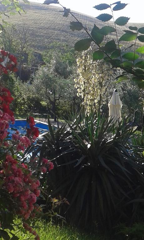 Agriturismo La Solagna Villa Montebello di Bertona Bagian luar foto