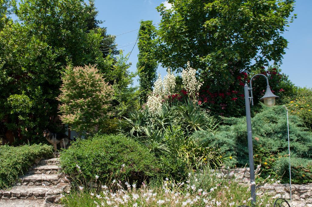 Agriturismo La Solagna Villa Montebello di Bertona Bagian luar foto