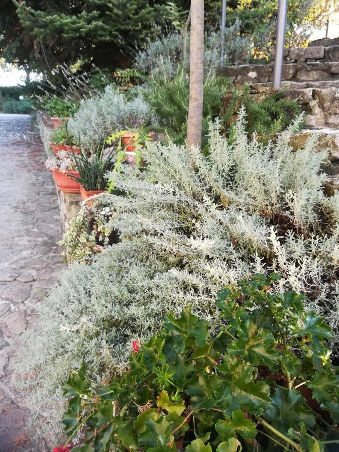 Agriturismo La Solagna Villa Montebello di Bertona Bagian luar foto